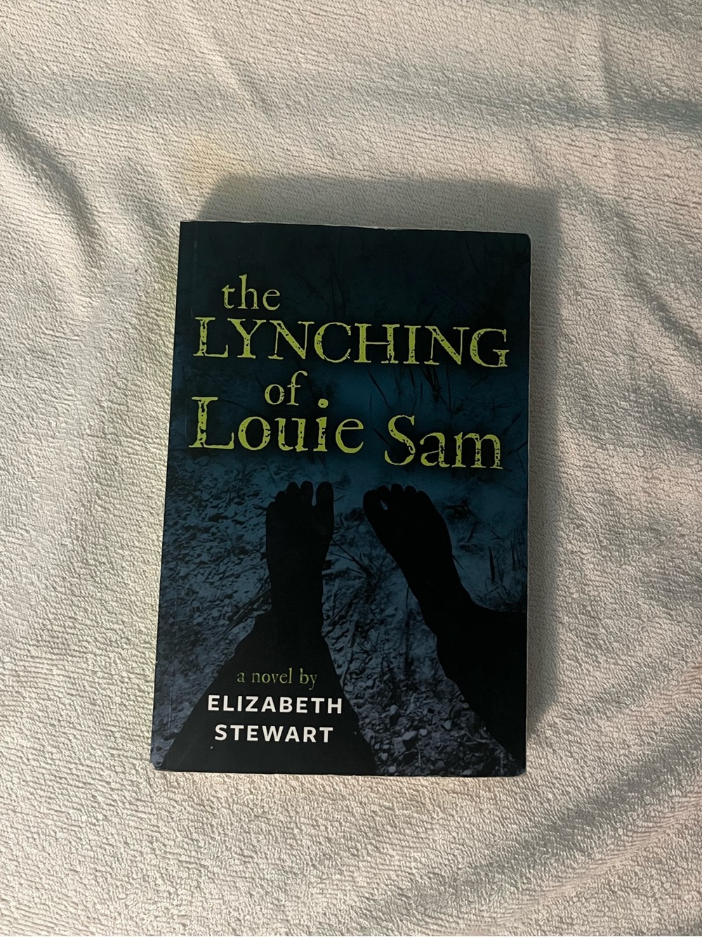The Lynching of Louie Sam Book